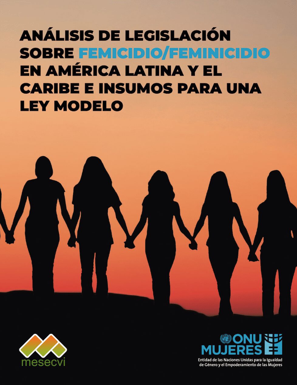 Análisis de legislación sobre femicidio/feminicidio en América latina y el  Caribe e insumos para una ley modelo - Paquete de servicios esenciales para  mujeres y niñas que sufren violencia
